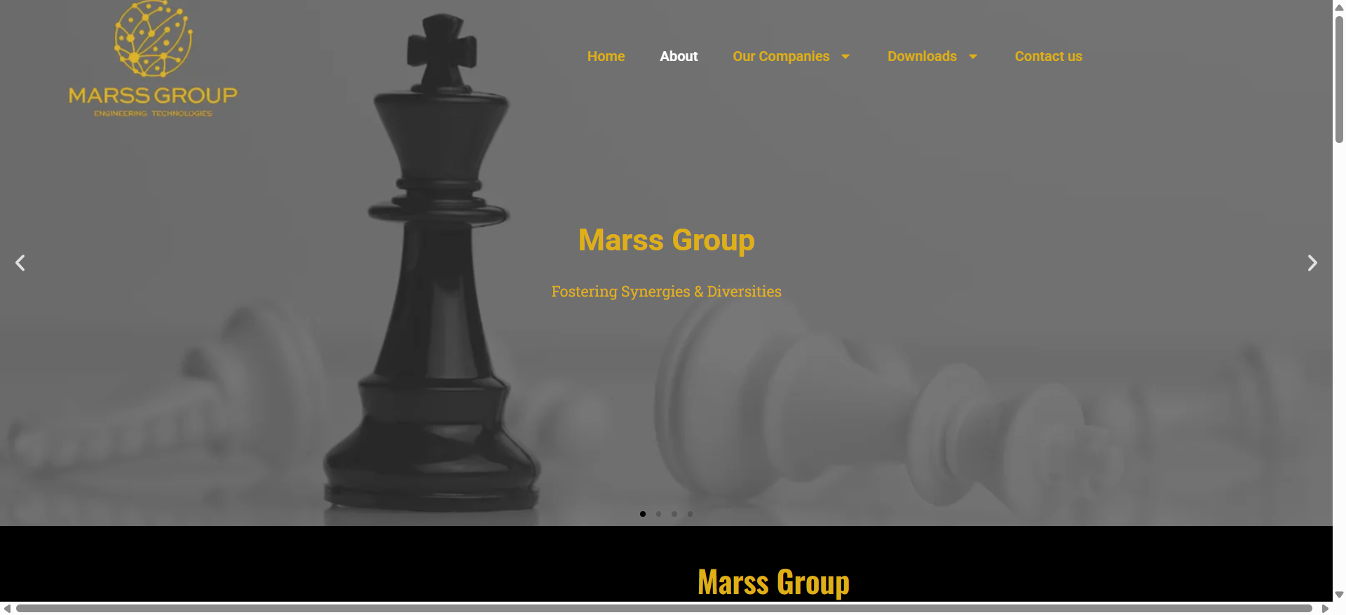 about group – marss group 04 23 2025 03 03 pm